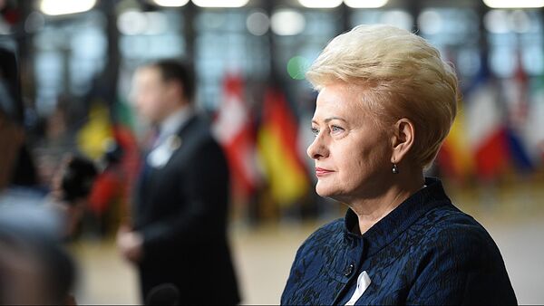 Президент Литвы даля Грибаускайте принимает участие в работе Европейского совета в Брюсселе - Sputnik Ўзбекистон