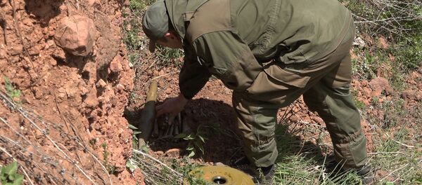 Российские саперы рассказали об опасных находках - Sputnik Узбекистан