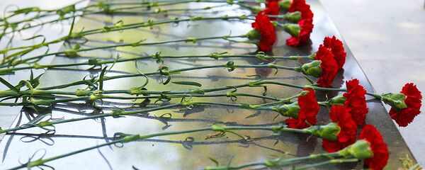 Гвоздики - Sputnik Узбекистан