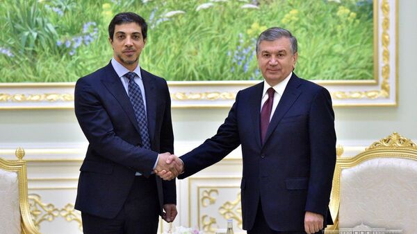 Президент Республики Узбекистан принял заместителя Премьер-министра, министра по делам Президента Объединенных Арабских Эмиратов - Sputnik Узбекистан