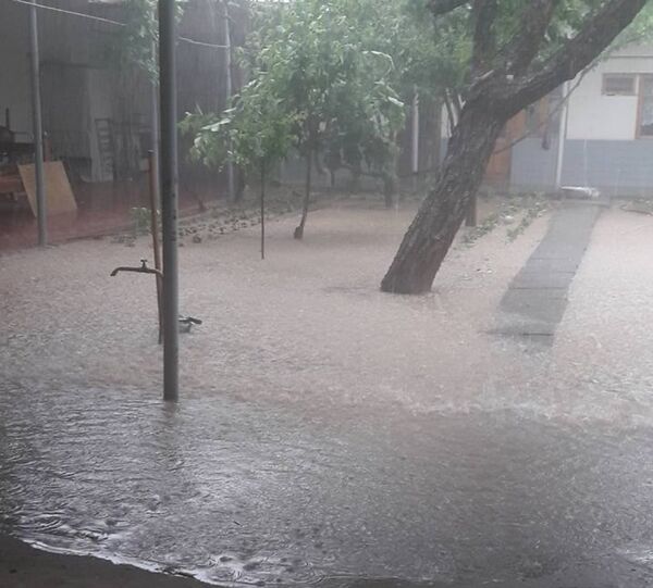 Ливень в Ташкенте Ливень в Ташкенте - Sputnik Узбекистан