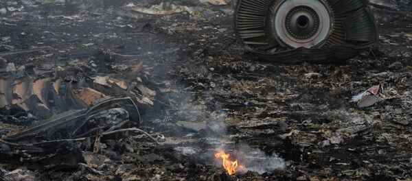 На месте крушения самолета - Sputnik Узбекистан