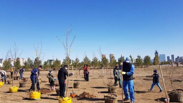 В память о сгоревших узбекистанцах под Актюбинском высадили 52 дерева - Sputnik Ўзбекистон