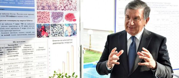 Шавкат Мирзиёев в Андижанском филиале Научно-исследовательского института лесного хозяйства. Шавкат Мирзиёев в Андижанском филиале Научно-исследовательского института лесного хозяйства. - Sputnik Узбекистан