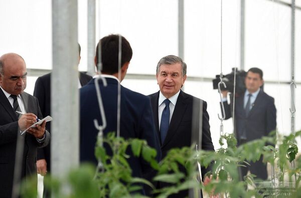 Шавкат Мирзиёев осмотрел теплицу в Андижанской области - Sputnik Узбекистан