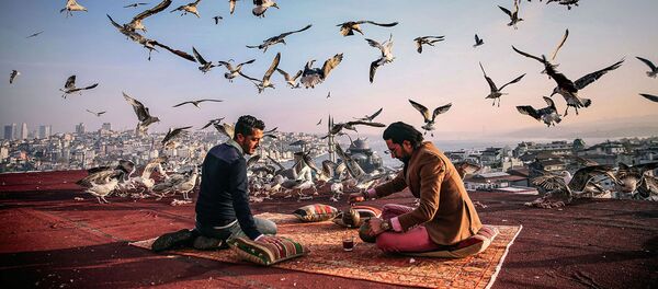 Себнем Коскун, Турция. Снимок Завтрак на привале. Категория Моя Планета, одиночные фотографии. Себнем Коскун, Турция. Снимок Завтрак на привале. Категория Моя Планета, одиночные фотографии. - Sputnik Узбекистан