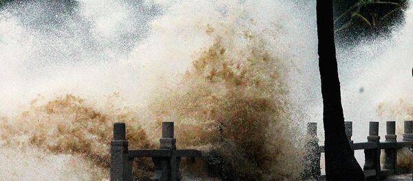 Тайфун в Китае Тайфун в Китае - Sputnik Узбекистан