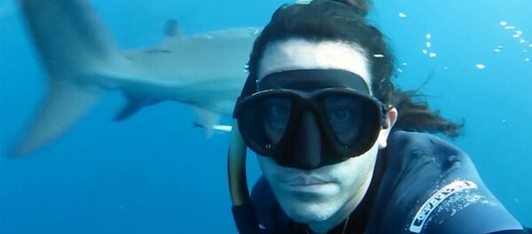Фридайвер Брайан Руло встретился с акулами лицом к лицу - Sputnik Узбекистан