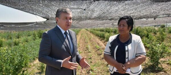 Шавкат Мирзиёев в ходе поездки в Ферганскую область ознакомился с деятельностью агрофирмы Фаргона анорчилик Кувинского района. Шавкат Мирзиёев в ходе поездки в Ферганскую область ознакомился с деятельностью агрофирмы Фаргона анорчилик Кувинского района. - Sputnik Узбекистан