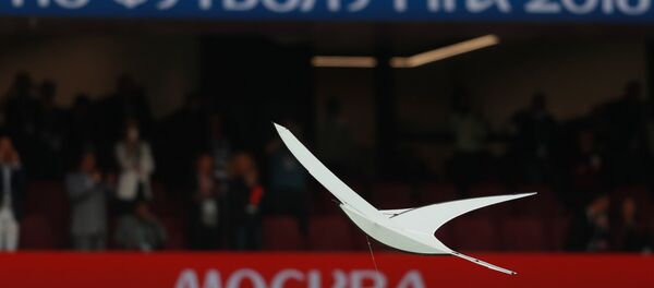 Церемония открытия ЧМ-2018 по футболу - Sputnik Узбекистан