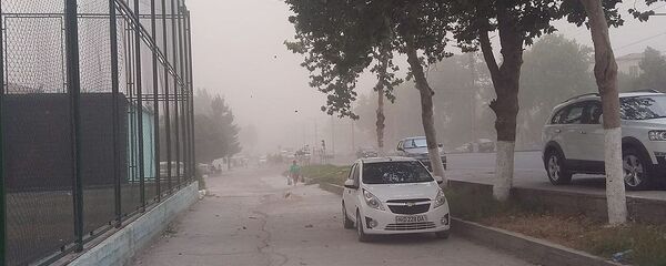 Песчаная буря в Самарканде Песчаная буря в Самарканде - Sputnik Ўзбекистон