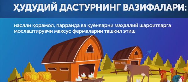 О программе Каждая семья - предприниматель - Sputnik Ўзбекистон