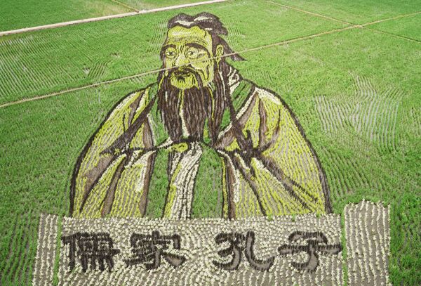 Портрет Конфуция на рисовом поле в Китае - Sputnik Узбекистан