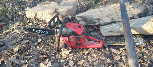 Вырубка деревьев в Страшенах. Вырубка деревьев в Страшенах. - Sputnik Узбекистан