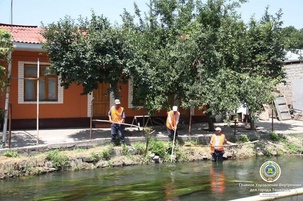 Берега рек и каналов в Ташкенте приведут в порядок - Sputnik Узбекистан