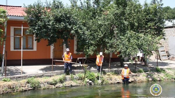 Прямо на берегу канала Салар люди возвели хозяйственные постройки, туалеты, курятники и прочие строения - Sputnik Узбекистан