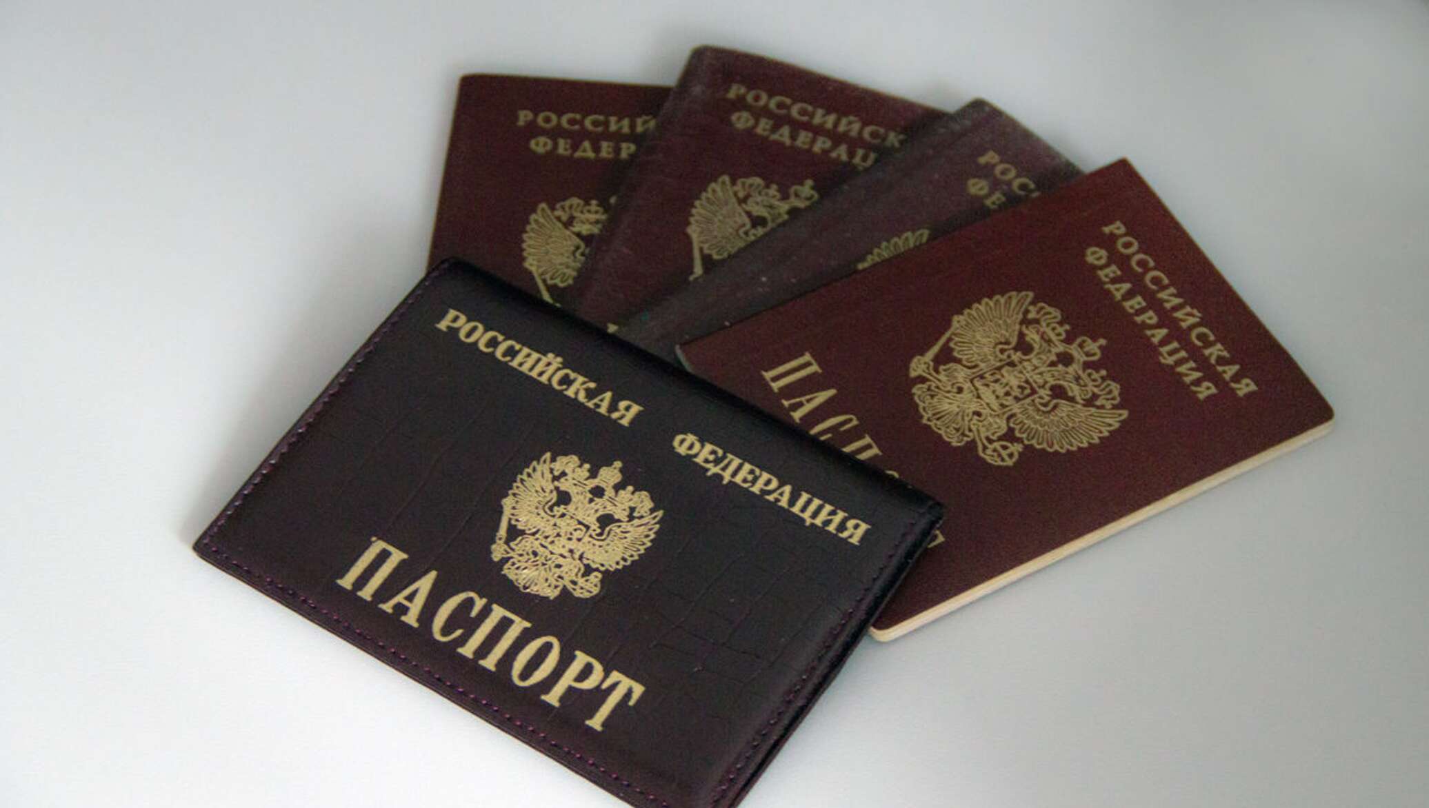 Паспорт 2022