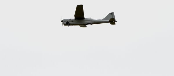 Самолет-беспилотник (БПЛА) - Sputnik Узбекистан