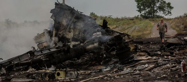 Крушение малайзийского Boeing на Украине - Sputnik Ўзбекистон