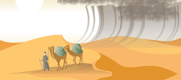 Quyundan qanday saqlanish kerak - Sputnik O‘zbekiston