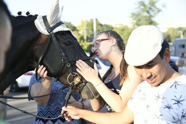 На сквере Амира Темура в центре столицы состоялся первый в Узбекистане конный парад. На сквере Амира Темура в центре столицы состоялся первый в Узбекистане конный парад. - Sputnik Узбекистан