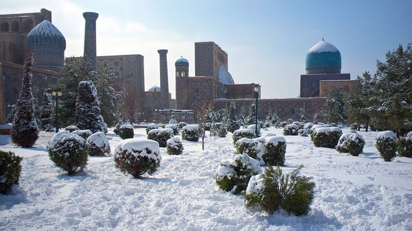 Зима в Узбекистане - Sputnik Ўзбекистон