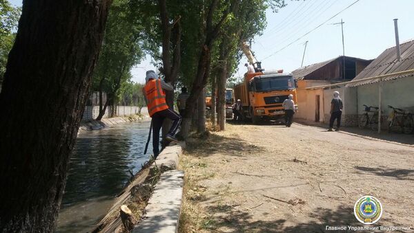 В Ташкенте приводят в порядок каналы - Sputnik Узбекистан