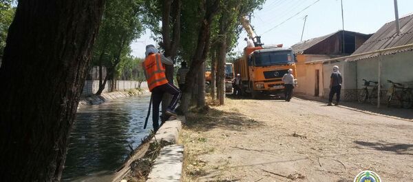 В Ташкенте приводят в порядок каналы - Sputnik Узбекистан