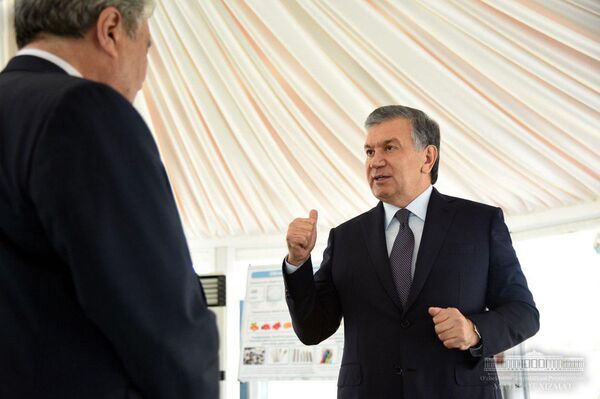 Узбекский поселок Улугбек станет наукоградом - Sputnik Узбекистан