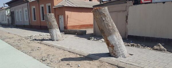 Вырубка многолетних деревьев - Sputnik Ўзбекистон