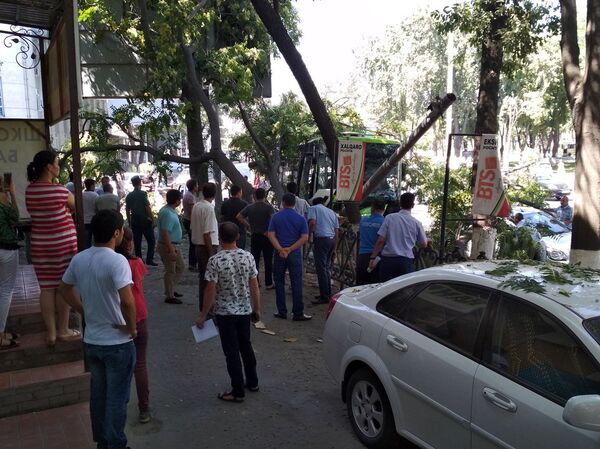 Автобус с пассажирами врезался в дерево в Ташкенте - Sputnik Узбекистан