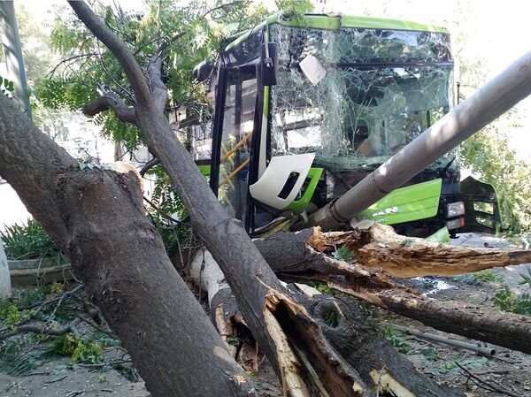 Автобус с пассажирами врезался в дерево в Ташкенте - Sputnik Узбекистан