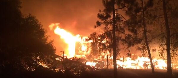 СПУТНИК_Пожары в Калифорнии СПУТНИК_Пожары в Калифорнии - Sputnik Узбекистан