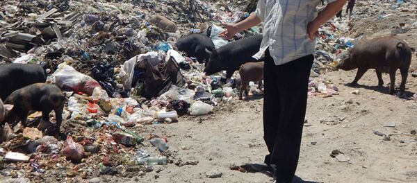 Самаркандский городской полигон твердых бытовых отходов в поселке Сулим  - Sputnik Узбекистан