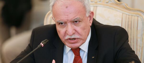 Vstrecha glav MID RF i Gosudarstva Palestini S. Lavrova i R. Maliki - Sputnik O‘zbekiston