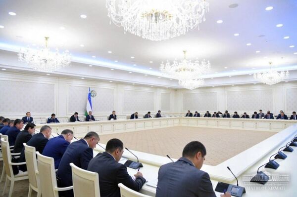 Хлопок в опасности: президент потребовал принять меры для спасения урожая - Sputnik Узбекистан