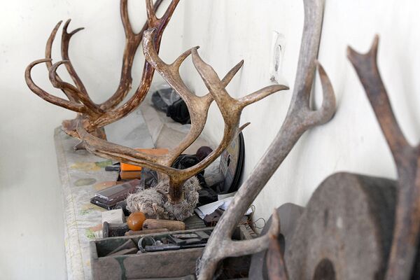 Для изготовления рукояти используют рога животных — быка или оленя.   - Sputnik Узбекистан