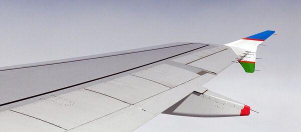 Крыло самолета - Sputnik Узбекистан