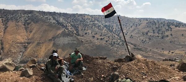 Сирийская армия освободила от террористов  провинцию Дераа - Sputnik Узбекистан