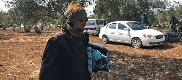 Сирийская армия освободила от террористов  провинцию Дераа - Sputnik Узбекистан