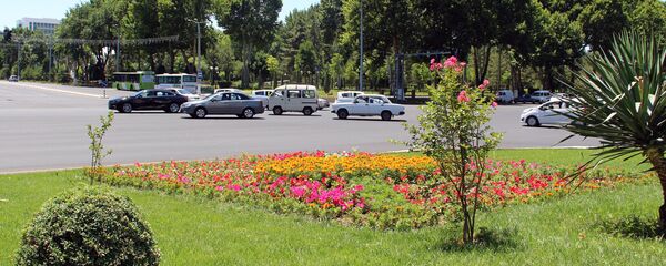 Автомобили в Ташкенте Автомобили в Ташкенте - Sputnik Ўзбекистон