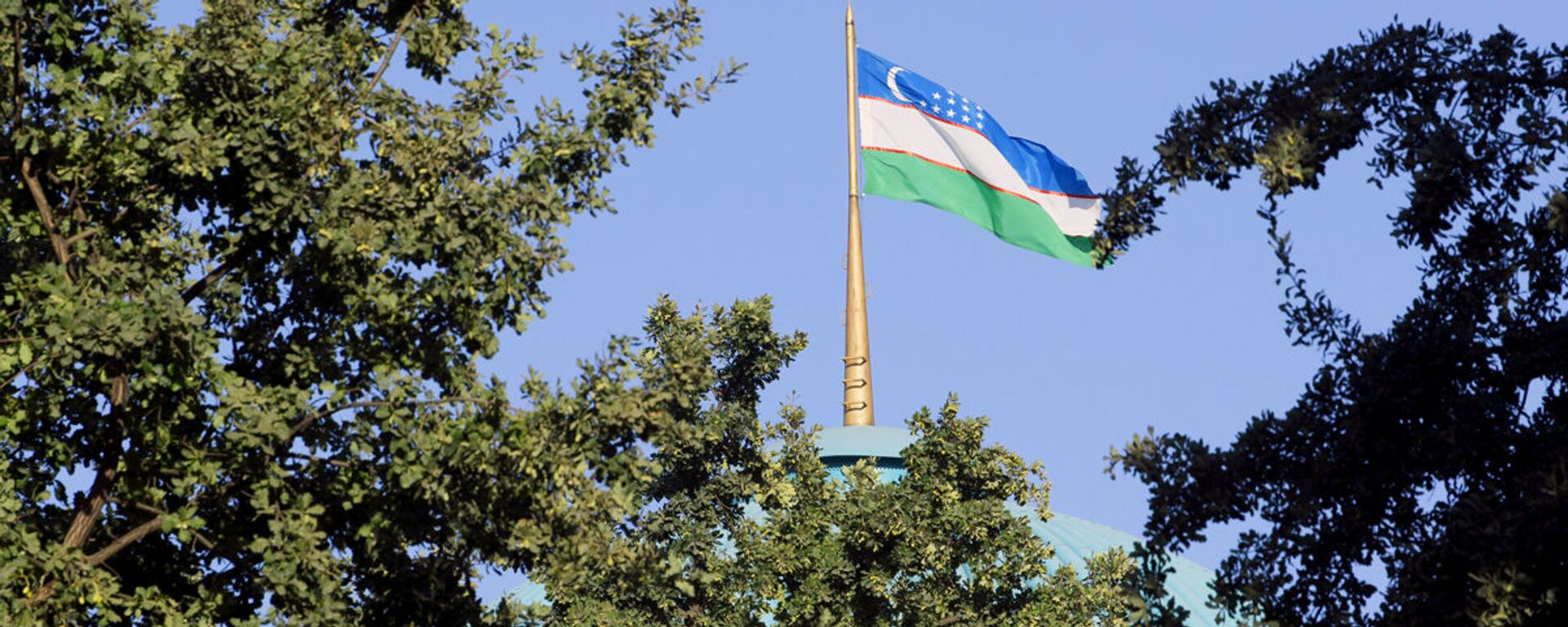 Flag Uzbekistana - Sputnik Oʻzbekiston, 1920, 29.04.2021