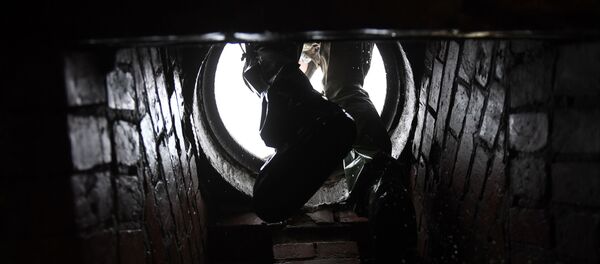 Коллектор  - Sputnik Узбекистан