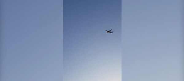 Очевидцы сняли на видео полет угнанного в США лайнера Очевидцы сняли на видео полет угнанного в США лайнера - Sputnik Узбекистан