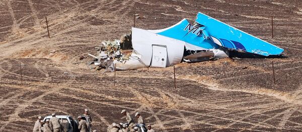 Мисрда авиаҳалокатга учраган A321 лайнери. - Sputnik Ўзбекистон