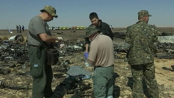 Сотрудники МЧС РФ собирали материалы для следствия на месте крушения A321 - Sputnik Узбекистан