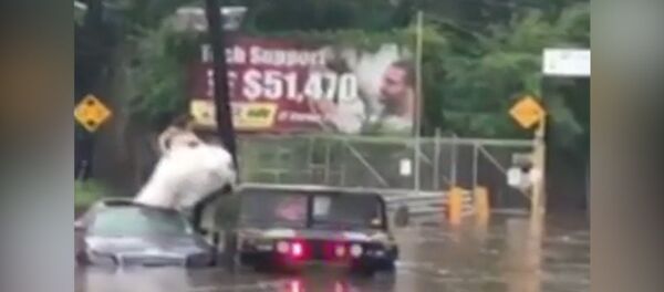 СПУТНИК_В США спасли девушку в свадебном платье из тонущего автомобиля СПУТНИК_В США спасли девушку в свадебном платье из тонущего автомобиля - Sputnik Узбекистан