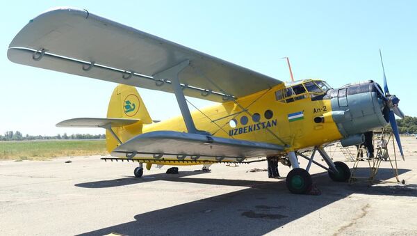 Samolyot An-2 na aerodrome Sergeli - Sputnik Oʻzbekiston