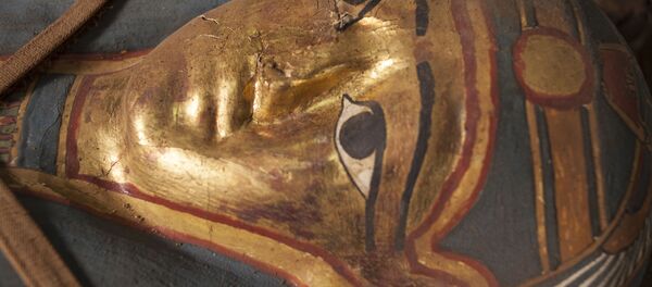 Экспедиция ЦЕИ РАН нашла мумию с золотой маской в Фаюмском оазисе Экспедиция ЦЕИ РАН нашла мумию с золотой маской в Фаюмском оазисе - Sputnik Узбекистан