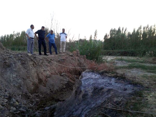 В Ташкенте продолжается работа по очистке водоемов - Sputnik Узбекистан